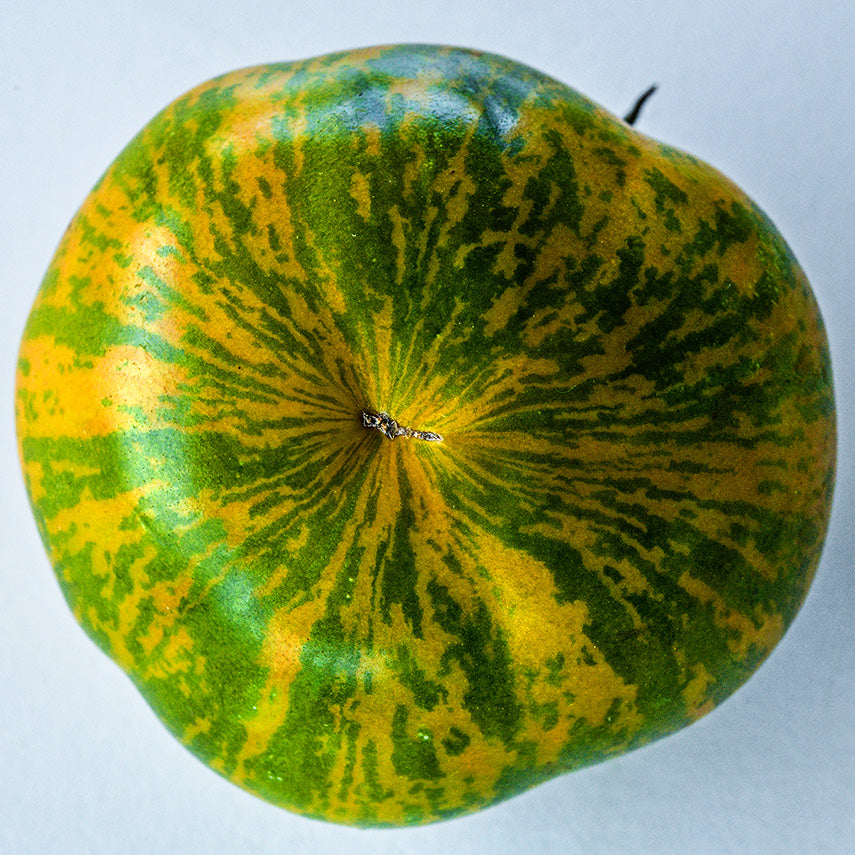 A macro detailed view of the yellow and green stripes on a Green Zebra Tomato.