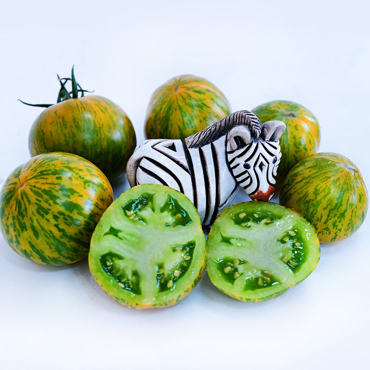 Cut and whole Green Zebra Tomatoes encircle a little ceramic zebra on white background.