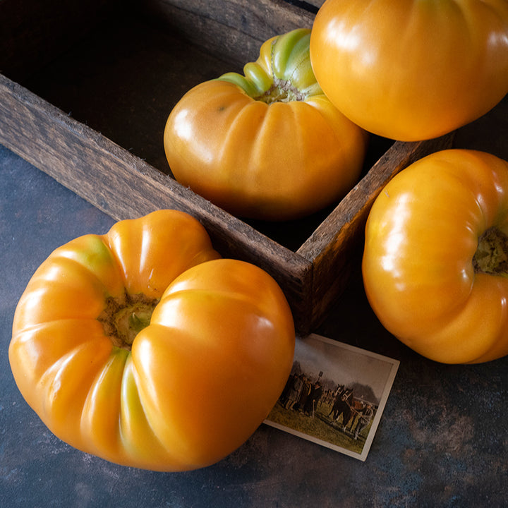 Kentucky Beefsteak Tomatoes with an old farm picture and wooden box.