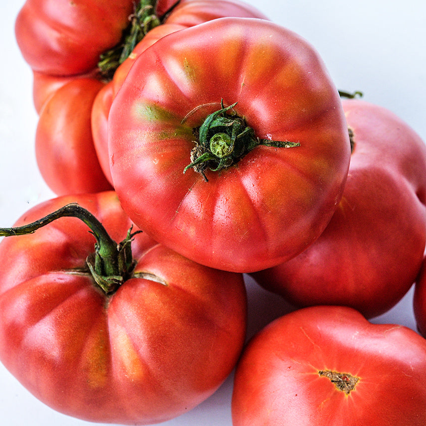 Close-up view of luscious Millionaire Tomatoes.