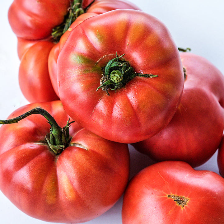 Close-up view of luscious Millionaire Tomatoes.