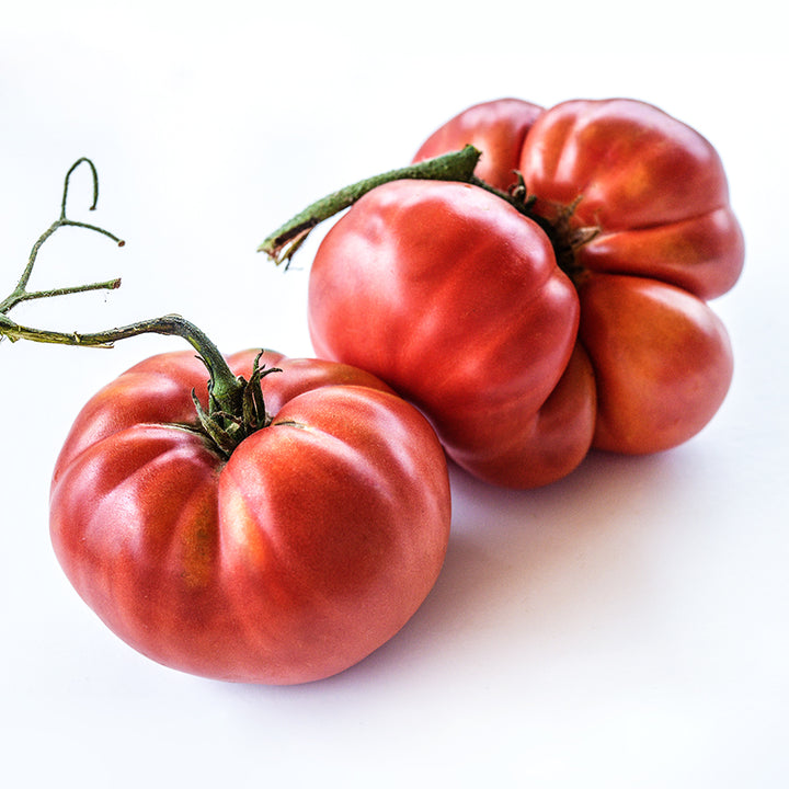 Two large Millionaire Tomatoes on white background.