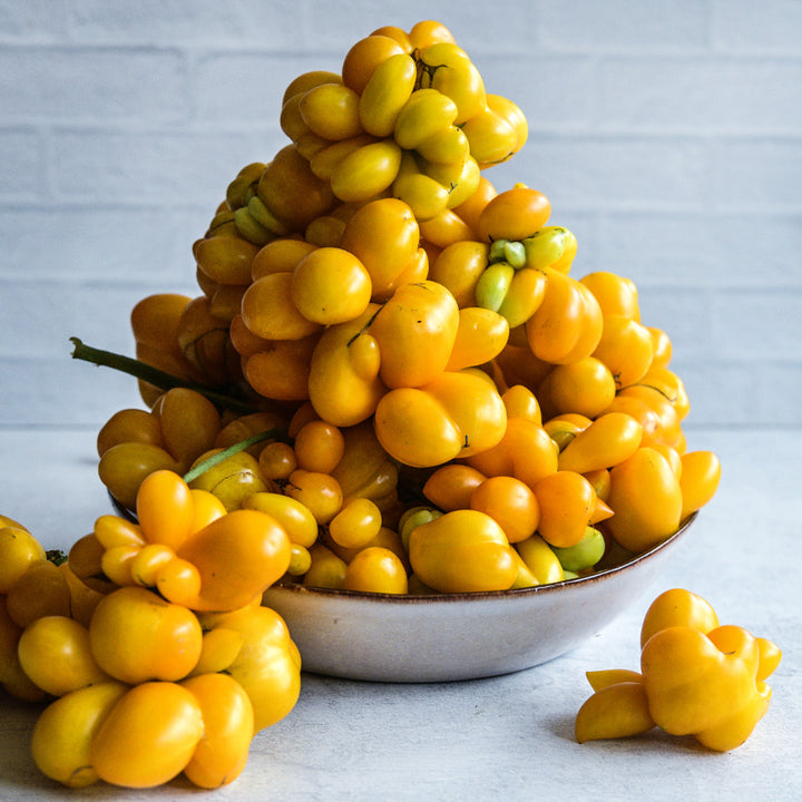 A giant pile of Phil's One Tomatoes in a ceramic bowl against a white brick background.