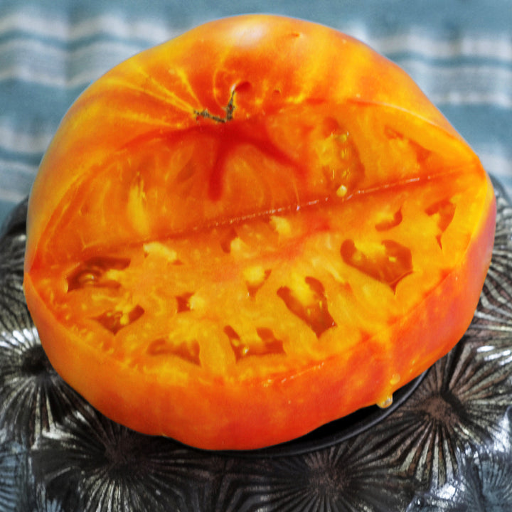 A single cut Pineapple Tomato with juice dripping from it on a silver plate against a blue dish towel.