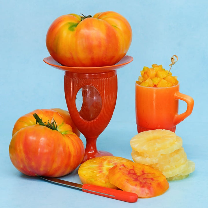 Pineapple Tomatoes on orange plates with pineapple slices on light blue background.