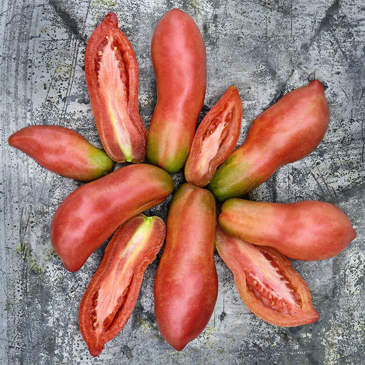 Cut and whole Pink Fang Tomatoes arranged on circle on a rustic metal background.