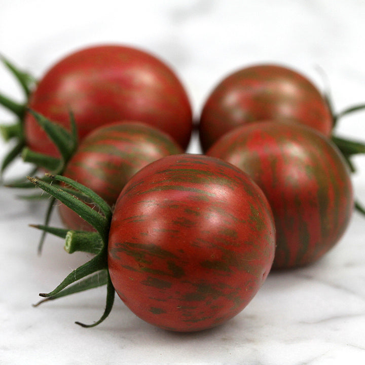 Close-up macro of five Purple Bumble Bee Tomatoes on a white marble countertop.