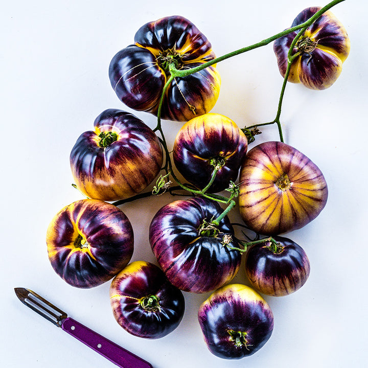 Ten Sart Roloise Tomatoes on the vine with Purple handled peeler on a white background.