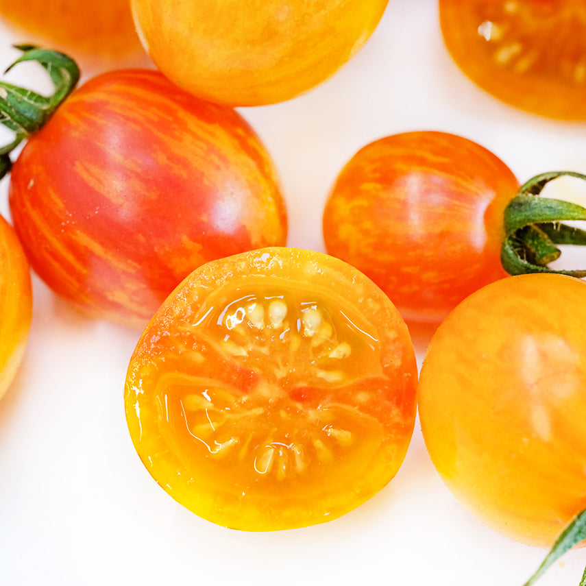 Close-up macro view of sliced and whole Sunrise Bumble Bee Tomatoes on a white background.