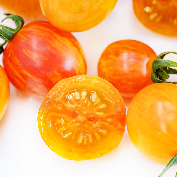 Close-up macro view of sliced and whole Sunrise Bumble Bee Tomatoes on a white background.