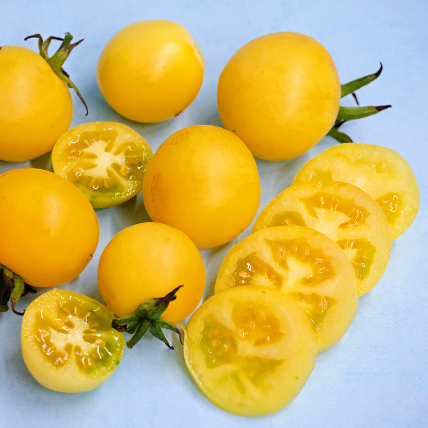 Sliced and whole Wapsipinicon Peach Tomatoes on a light blue background.