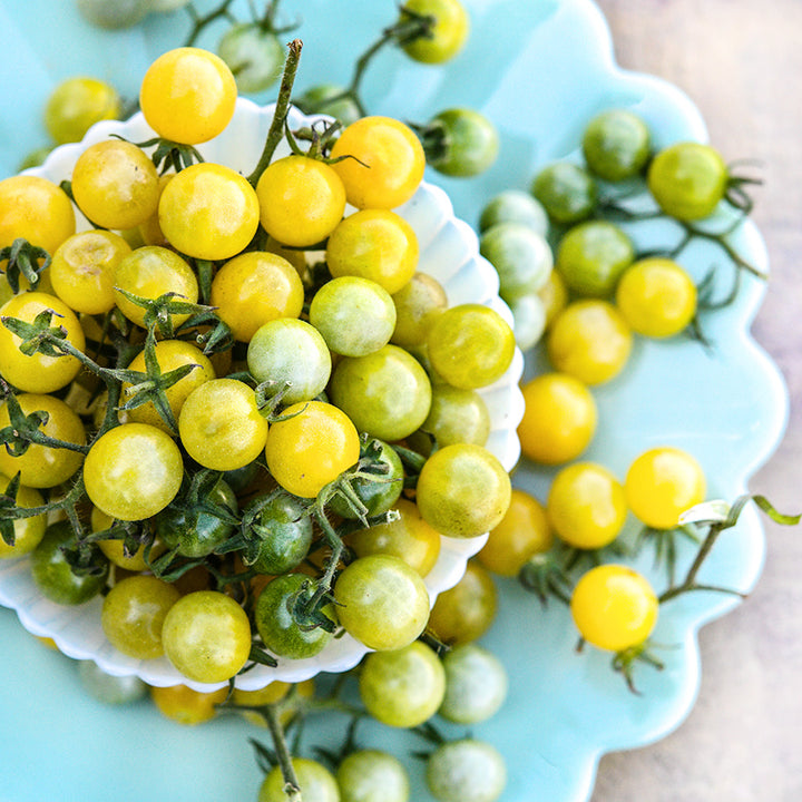 White Currant Tomatoes still on the vine in a fluted bowl on a scalloped light green plate.