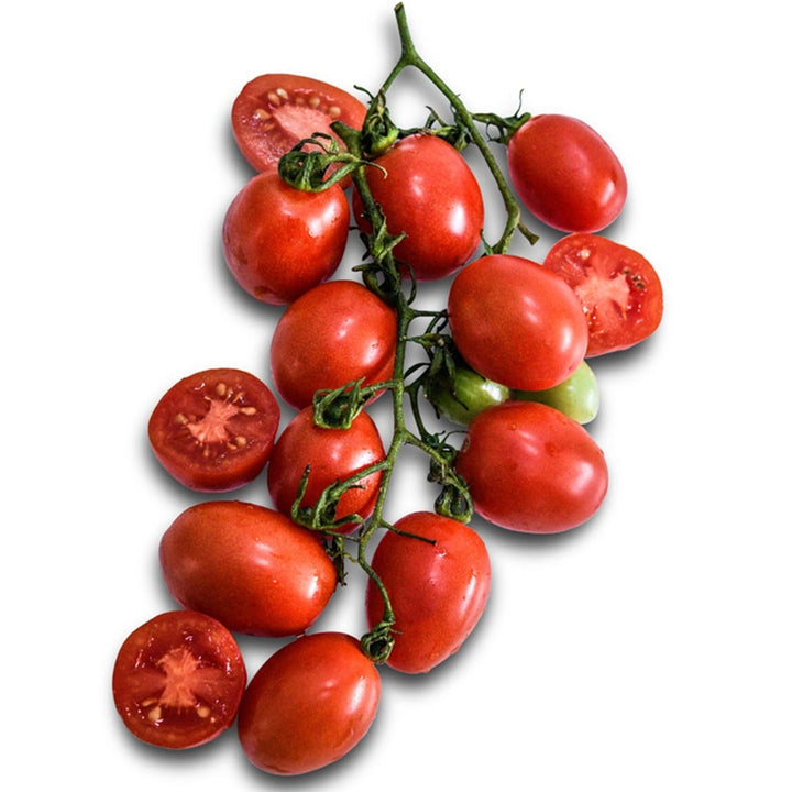 Several A Grappoli D Inverno Tomatoes on a vine on a white background.