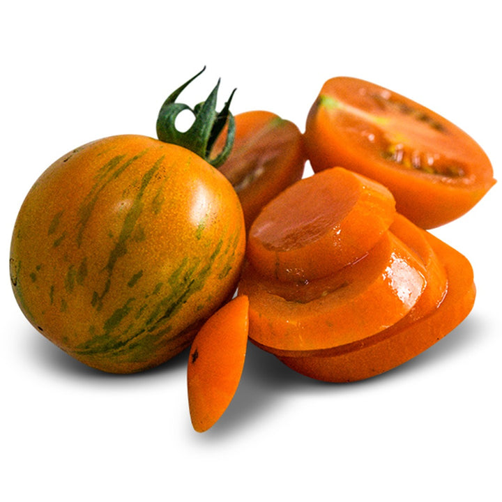 A single whole Apricot Zebra Tomatoes next to sliced tomatoes on a white background.