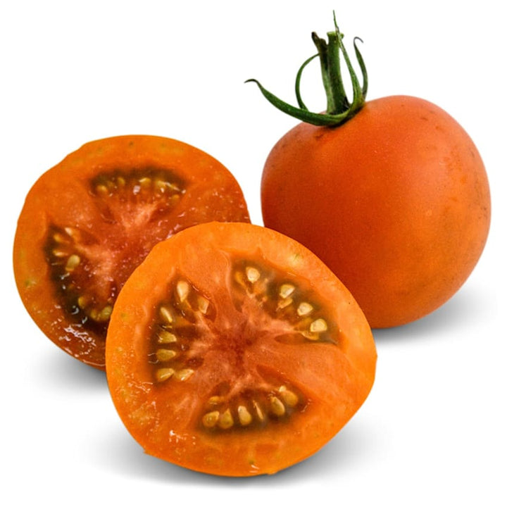 Whole and sliced Auriga tomatoes on a white background.