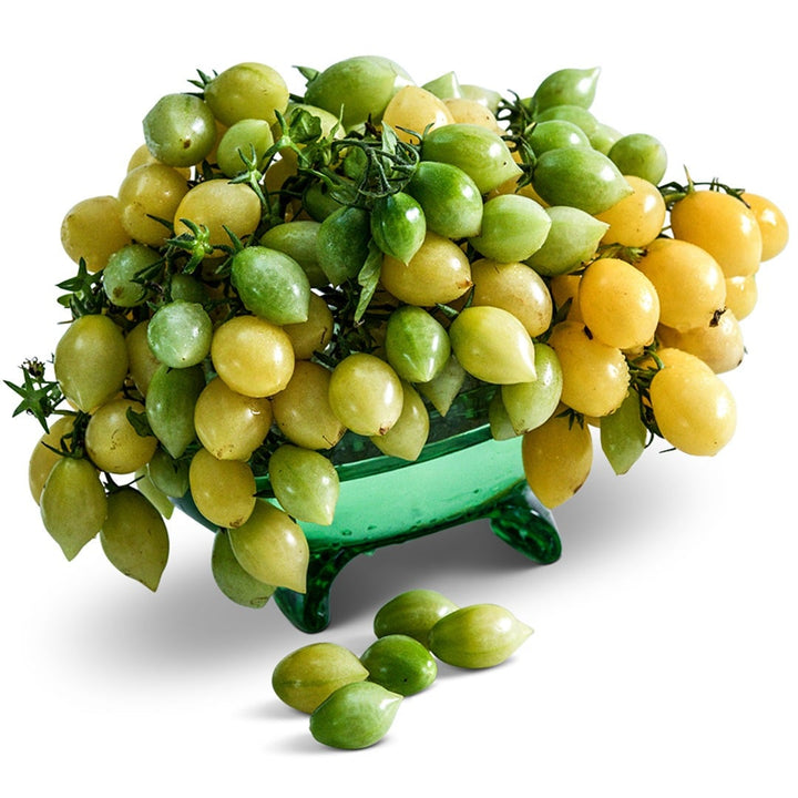 Cluster of Barry&