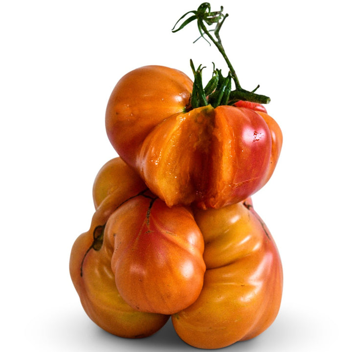 Big Rainbow Tomatoes stacked on one another on a white background.