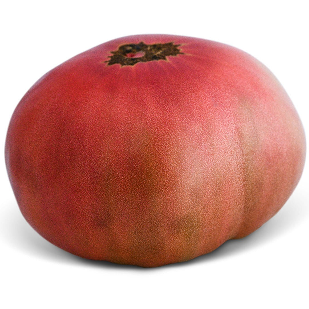 Single Brandywine Sudduth's Strain Tomato on a white background.