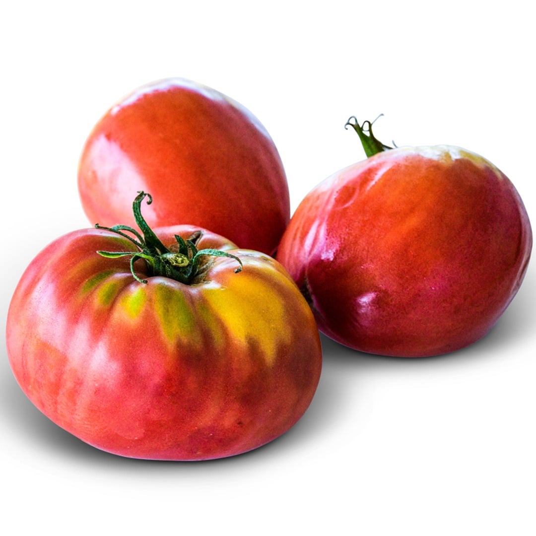 Trio of Bread and Salt Tomatoes on a white background.