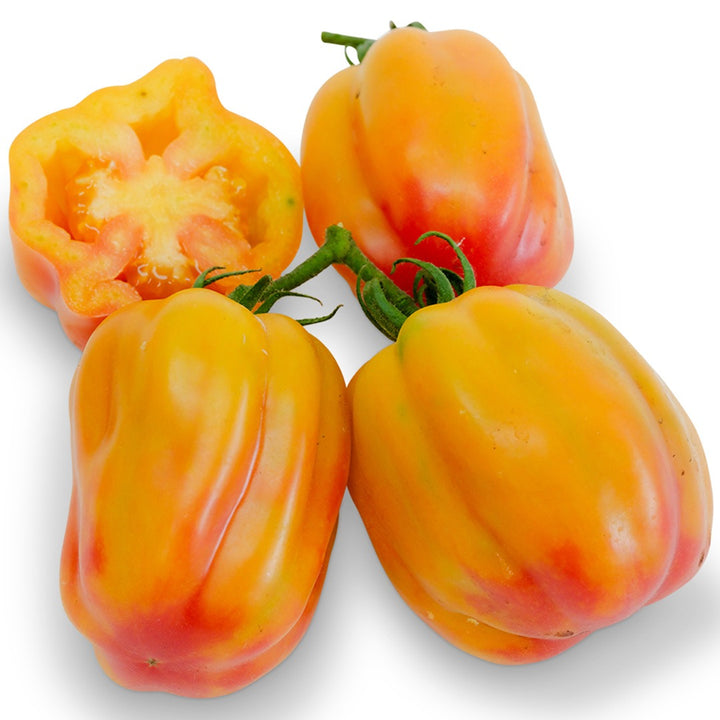 Three whole and one sliced California Tulip Tomato on a white background.