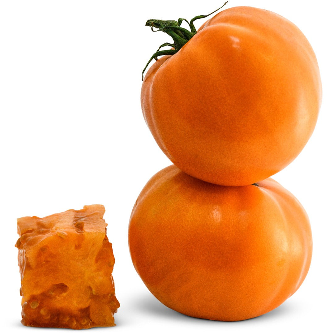 A pair of Dad's Sunset Tomatoes on a white background.