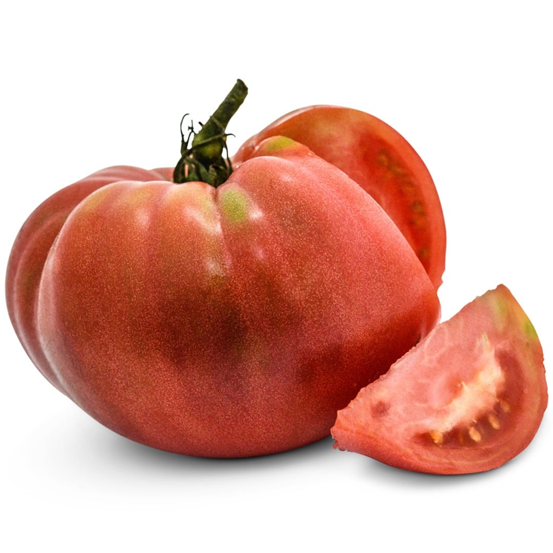 Single Dester Tomato on a white background.