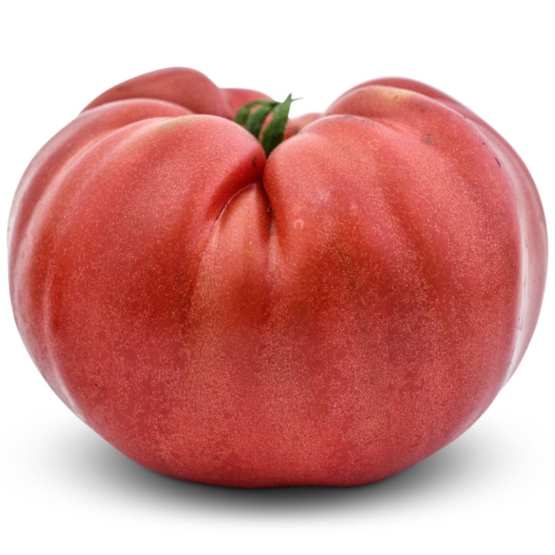 Single German Pink Tomato on a white background.
