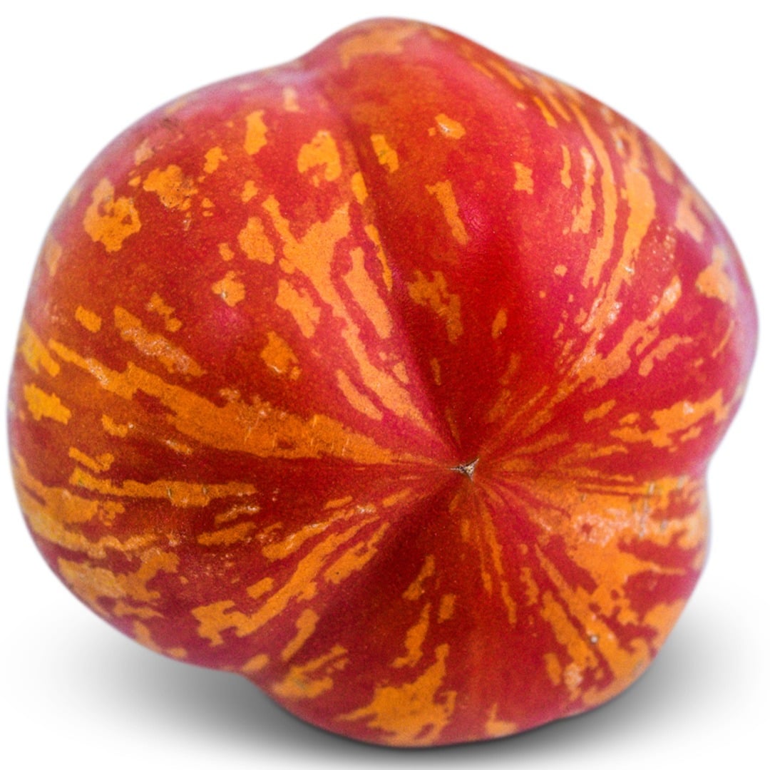 A single Get Stuffed Tomato on a white background.
