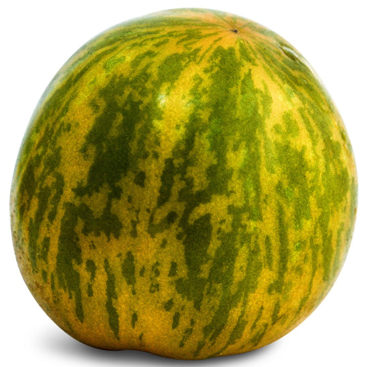 A close up of a Green Zebra Tomato on a white background.