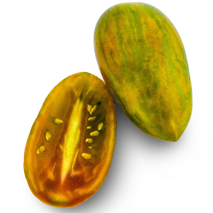 Whole and sliced Lucky Tiger Tomato on a white background.