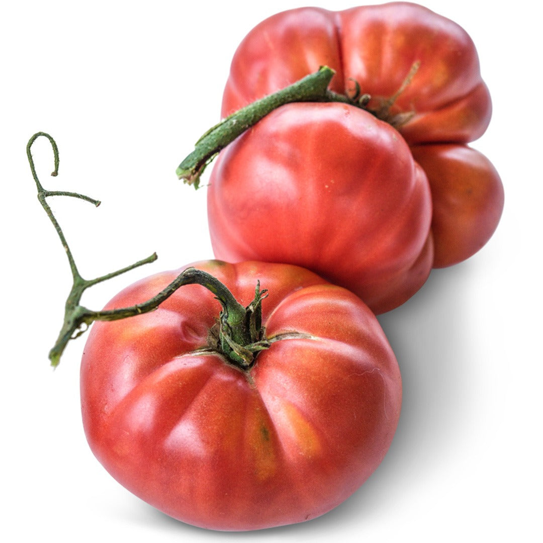 Pair of Millionaire Tomatoes on a white background.