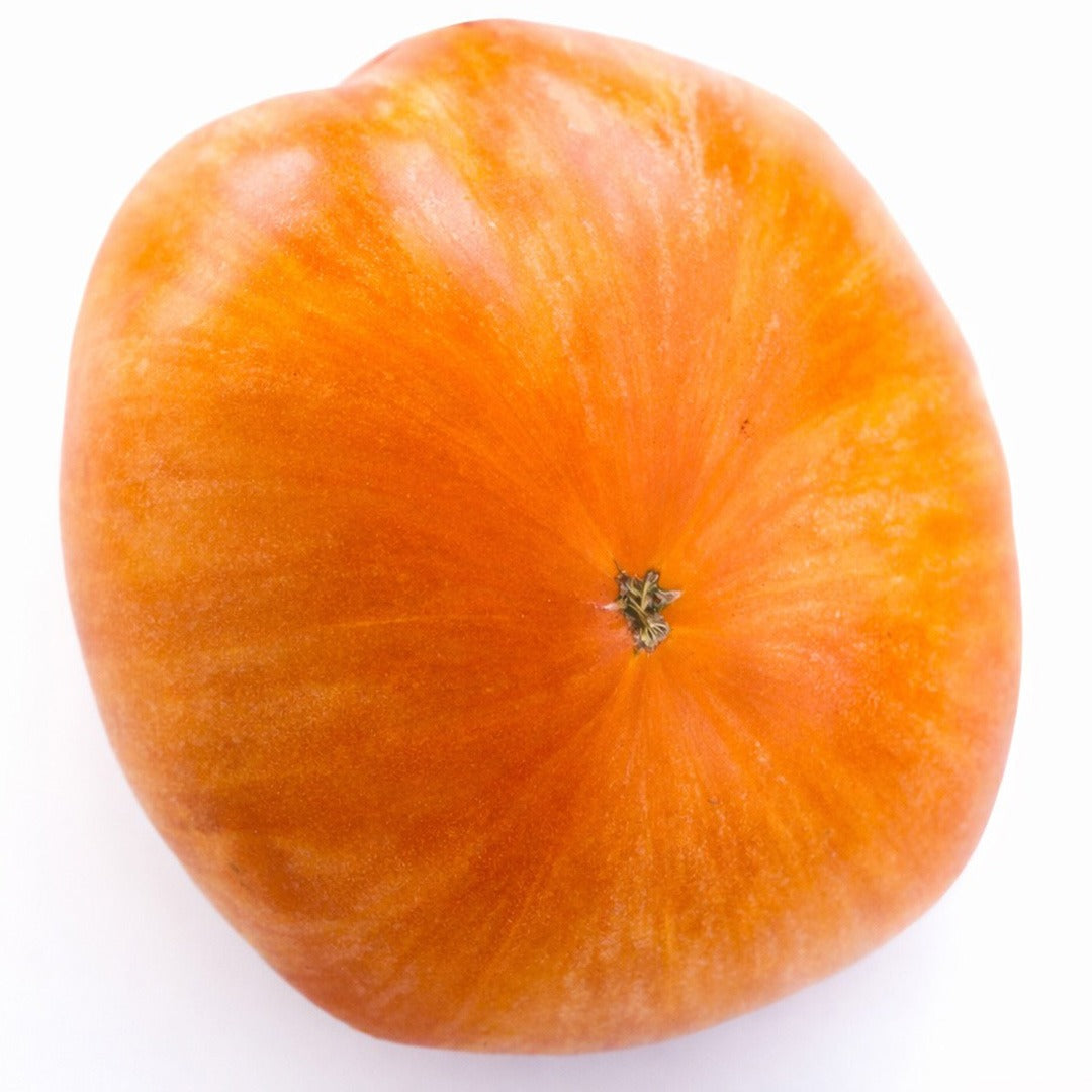 Close up of Orange Jazz tomato on a white background.