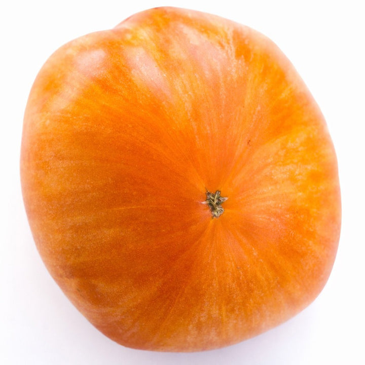 Close up of Orange Jazz tomato on a white background.