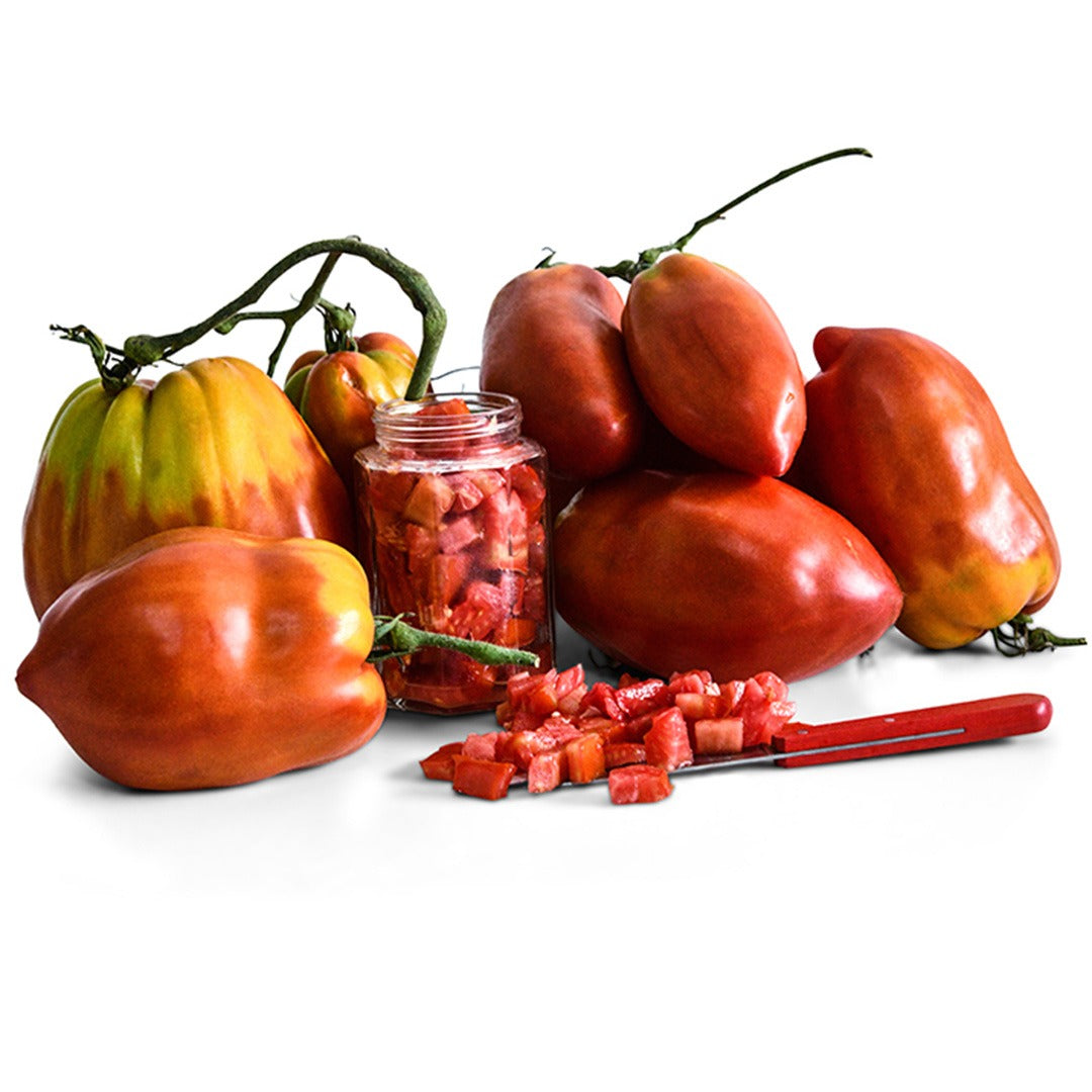 A giant pile of Palemeno Tomatoes with a glass jar holding diced tomatoes and a red handled knife on white.