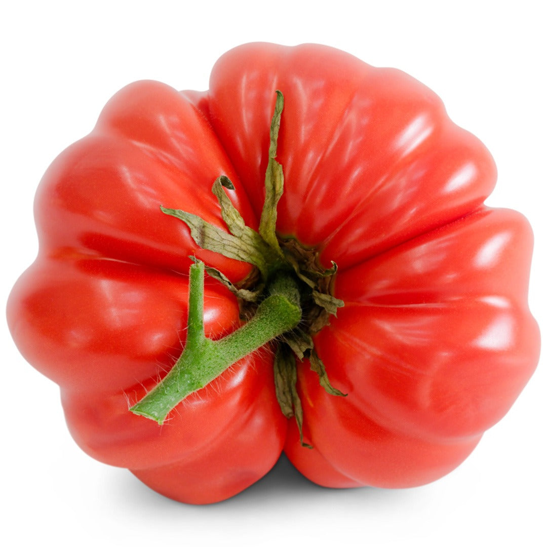 Top view of a Pantano Romanesco Tomato on a white background.
