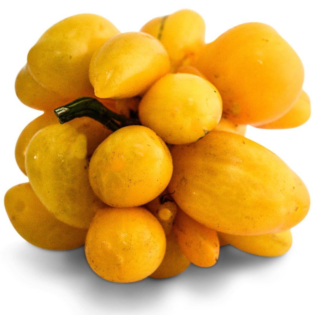 Cluster of Phil&