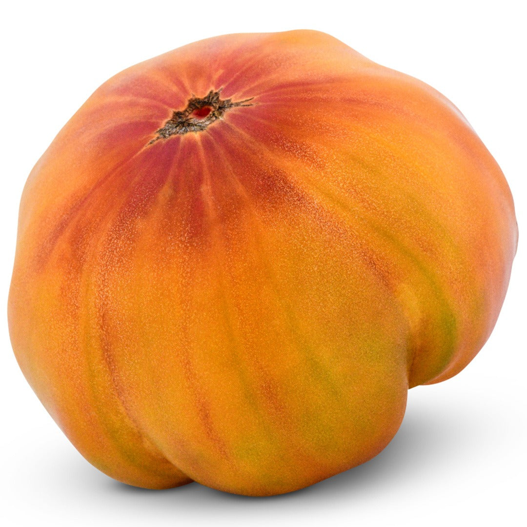 Single whole Pineapple Tomato on a white background.
