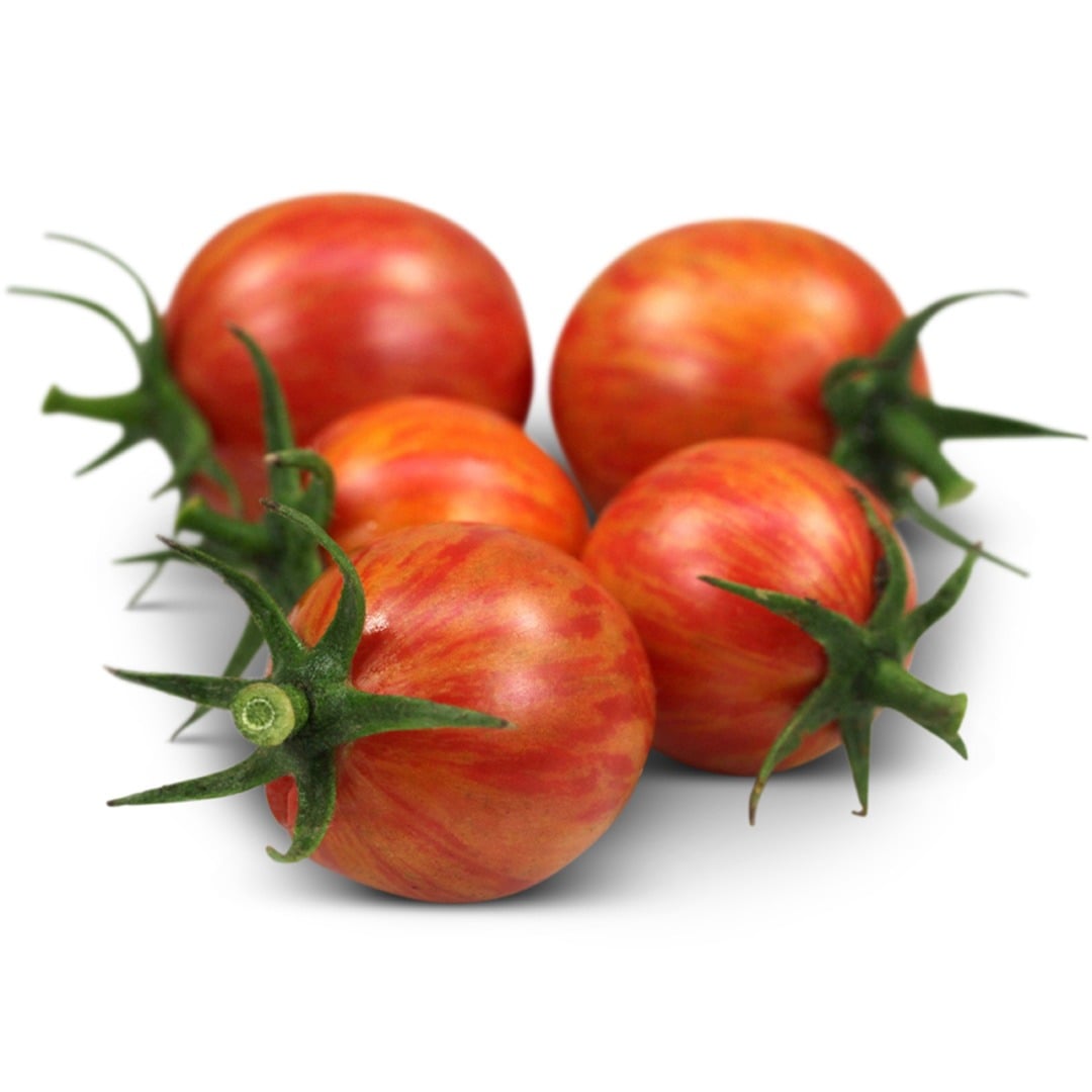 Five Pink Bumble Bee Tomatoes on a white background.