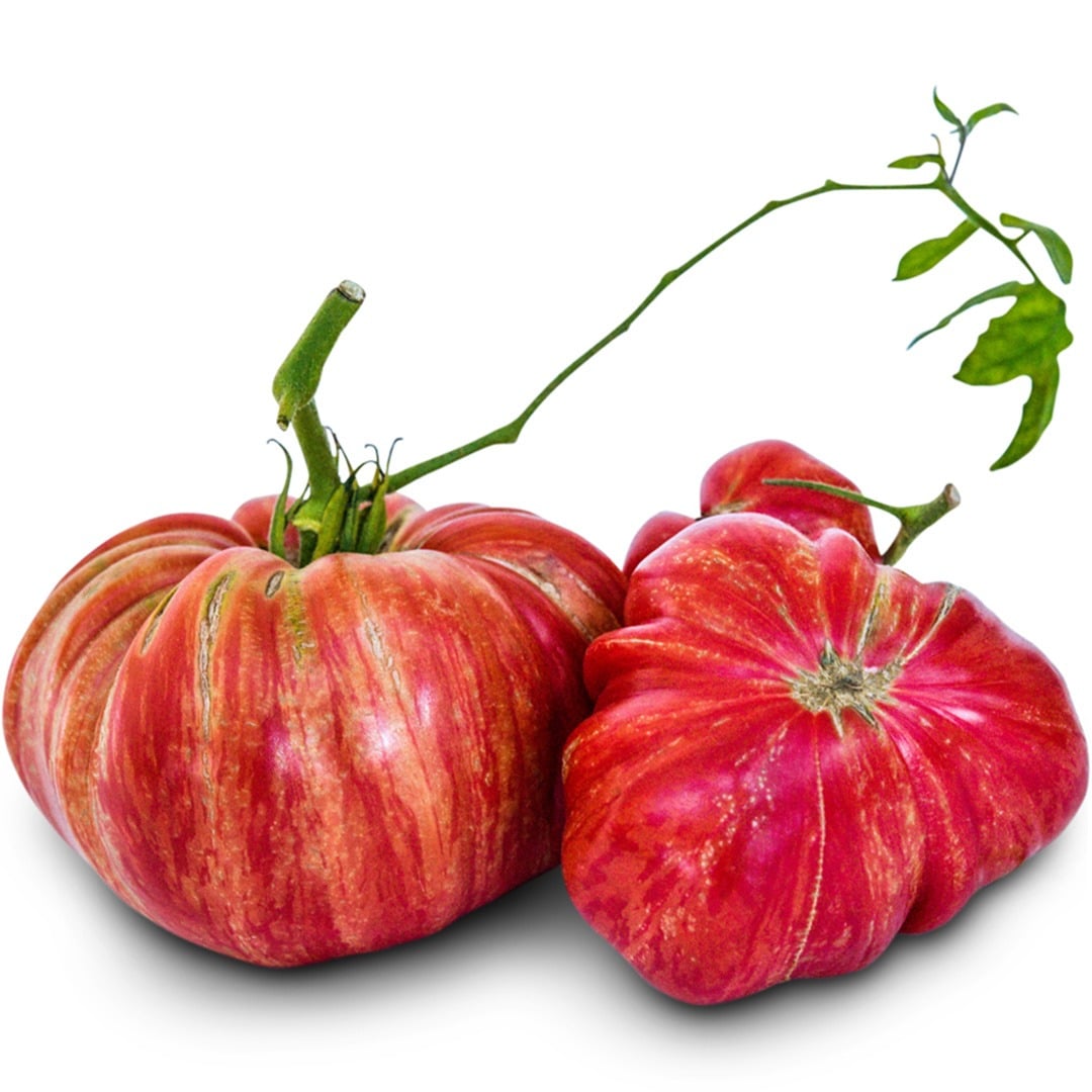 Large Pink Jazz Tomatoes arranged on a white background.