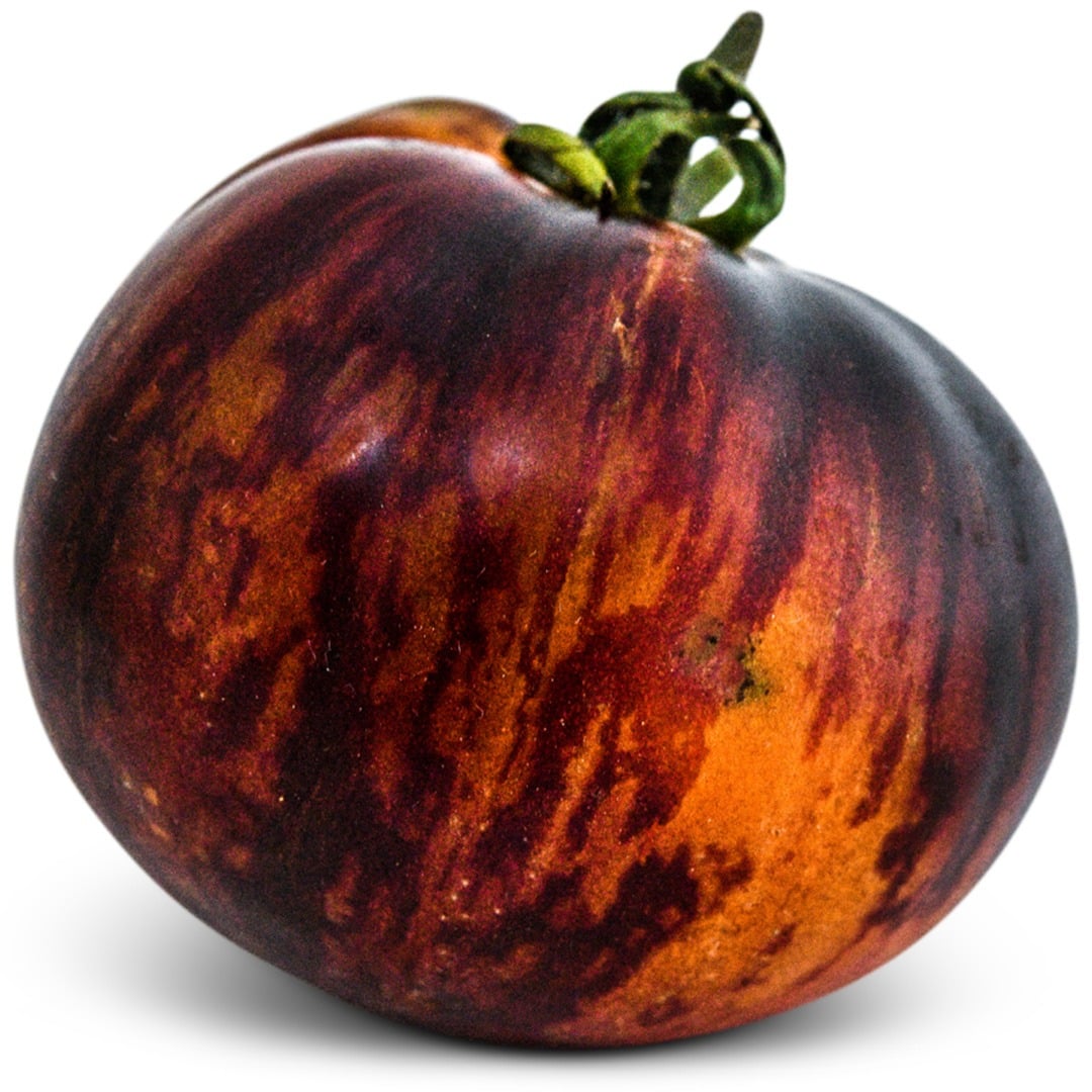 Single Queen of the Night Tomato on a white background.