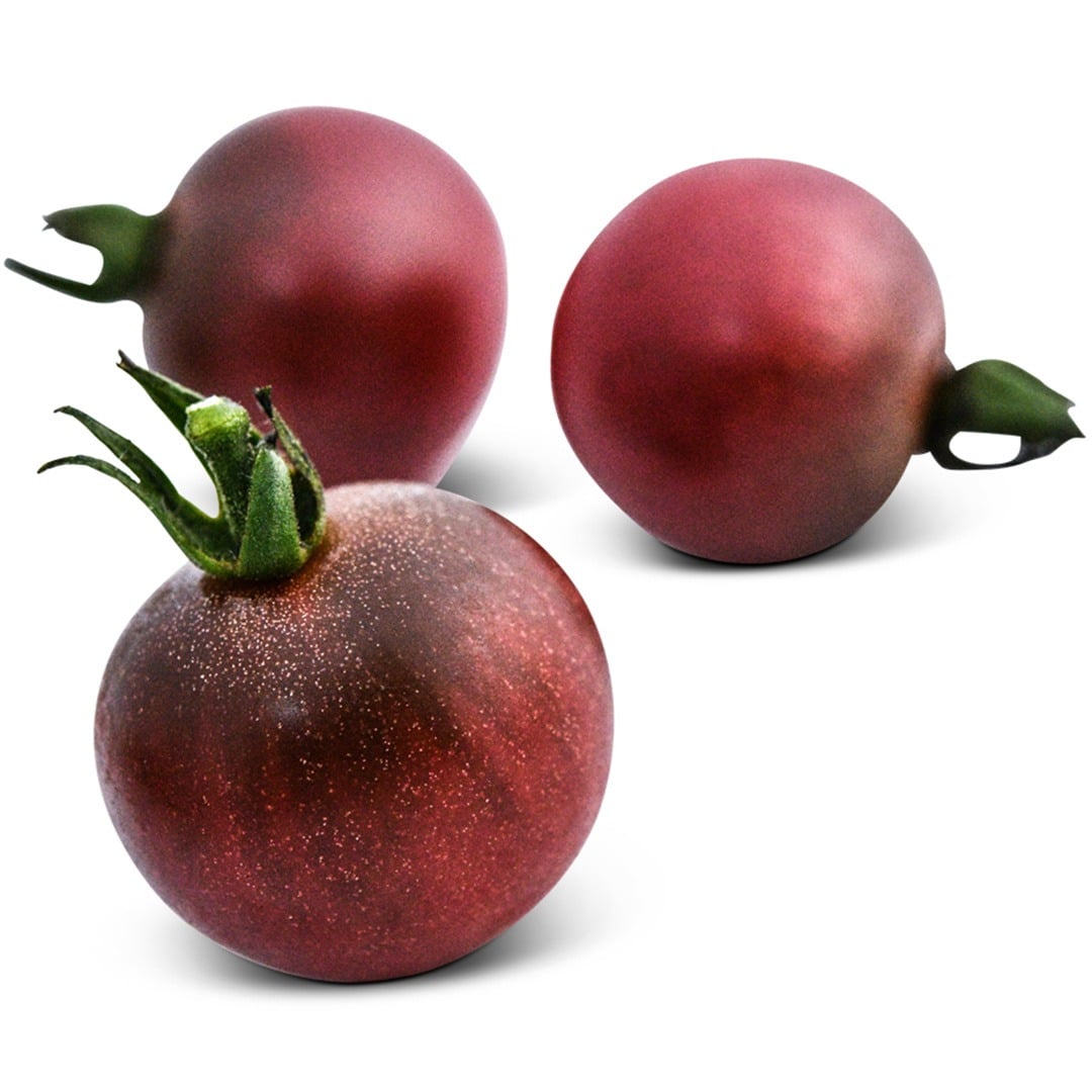 Trio of Rosella Tomatoes on a white background.