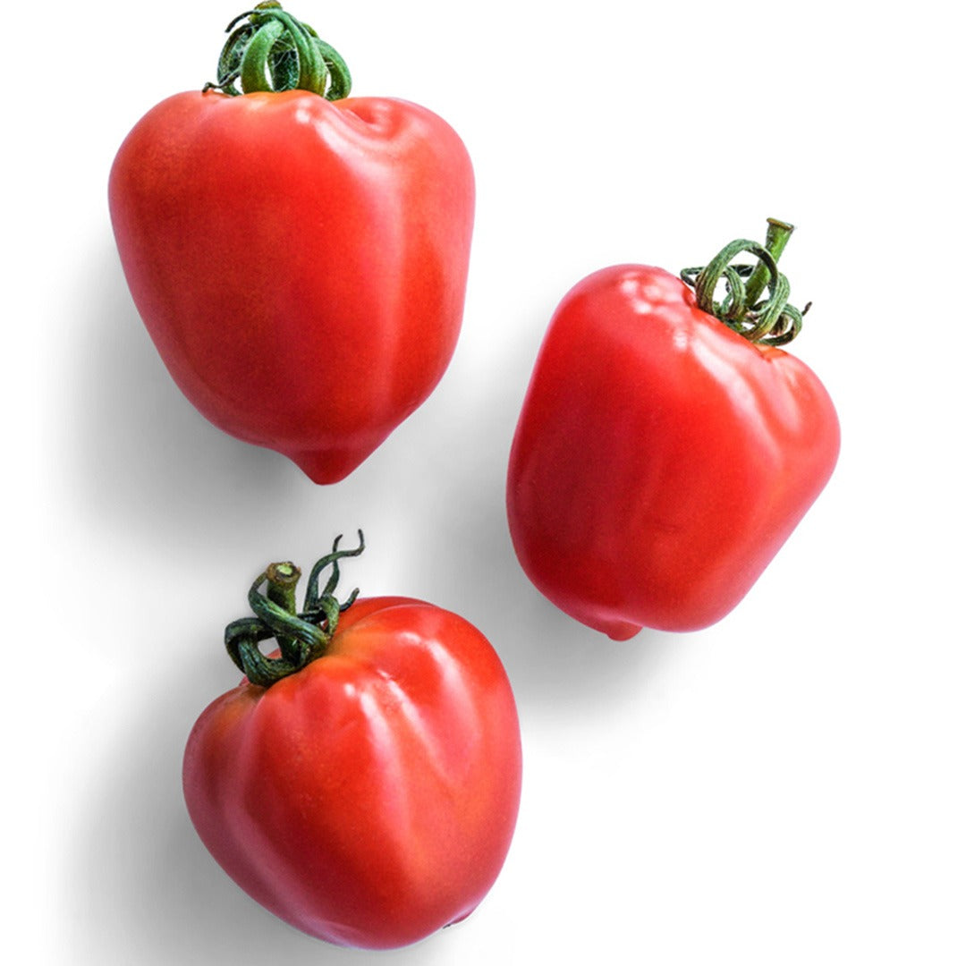 Trio of Sweetheart Cherry Tomatoes on a white background.