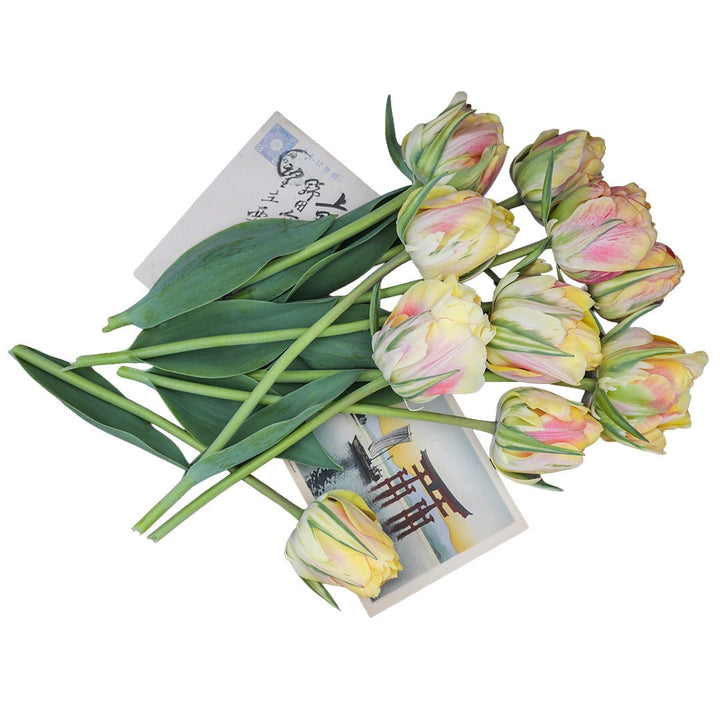 A bouquet of Akebono Tulips rests on vintage Japanese postcards on a white background.