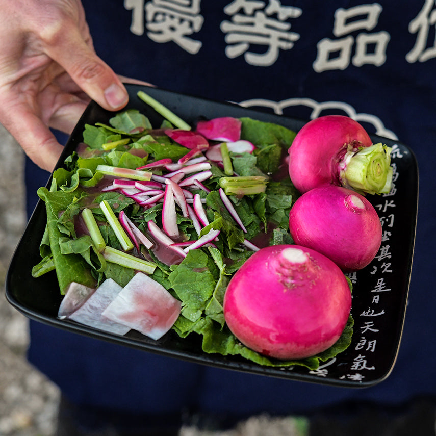 A man wearing a Japanese chef apron holding a plate of Hida Beni Red Turnips with salad made from the greens.