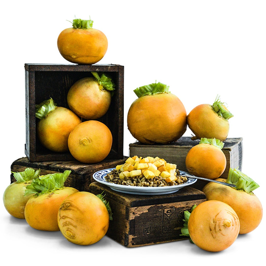 Aji Kogane Turnips stacked on wooden crates on a white background.