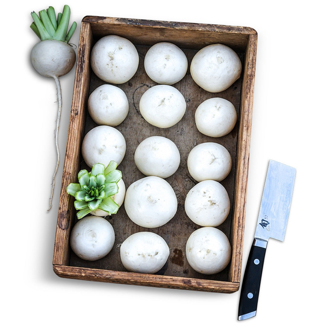 Tokinashi Turnips arranged in rows in a Japanese wooden box on a white background.
