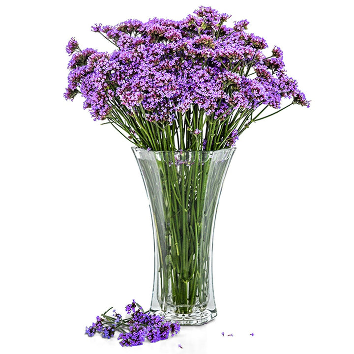 A clear glass vase full of the striking purple flowers of Vanity Verbena on a white background.