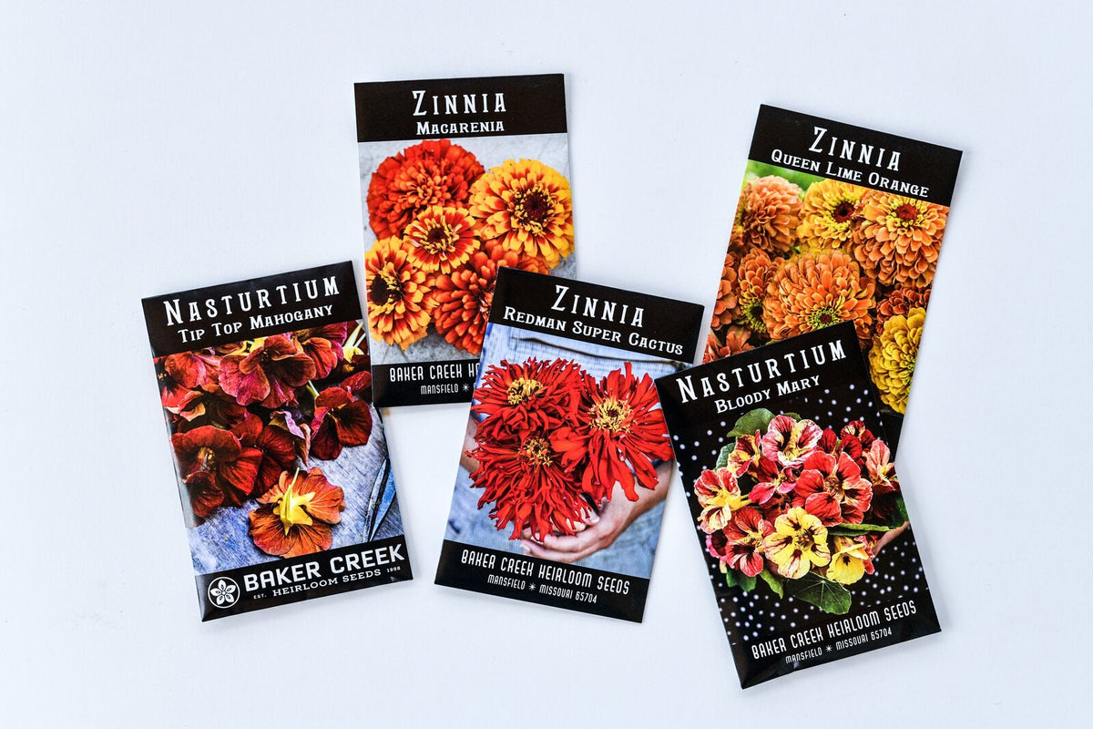 Baker Creek seed packets of zinnias and nasturtiums laid out on a white table
