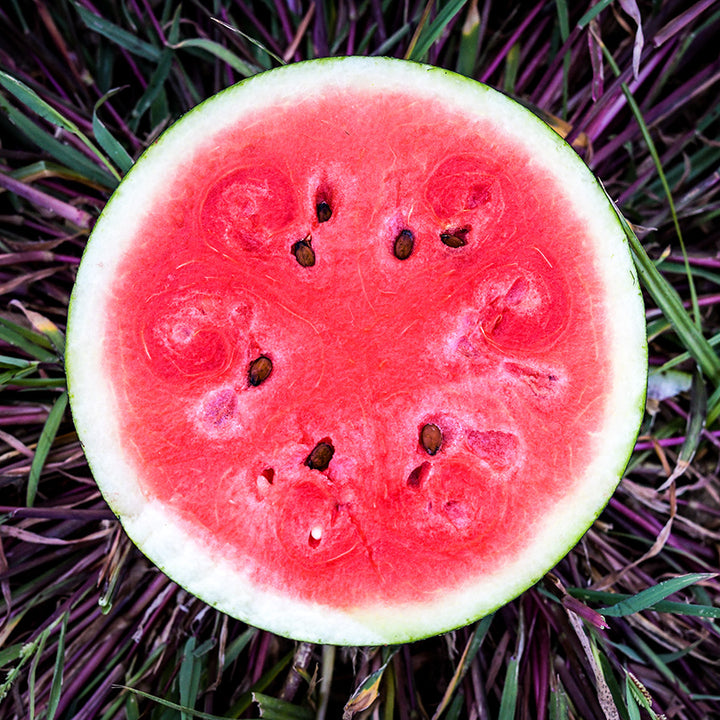 A Blacktail Mountain Watermelon sliced in half laying on grass at the Baker Creek trial farm in California.