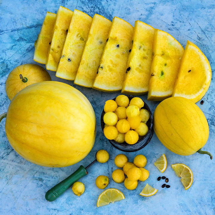 Whole and sliced Lemon Drop Watermelons with melon balls on a bright blue background.